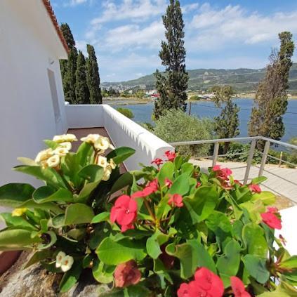 Skiathos Lagoterra Apartments Exterior photo